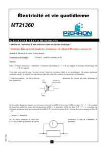 MT21360 - Pierron