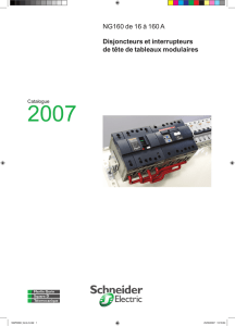 NG160 de 16 à 160 A Disjoncteurs et interrupteurs de tête de