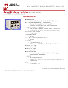 Amplificateur linéaire (HL-700 Series)
