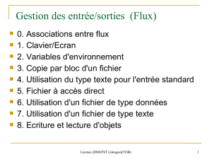 Gestion des entrée/sorties (Flux)