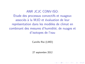 ANR JCJC CONV-ISO: Etude des processus convectifs et nuageux