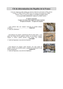 Clé de détermination des Reptiles de la France 2013 compressé