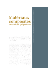 Matériaux composites à matrices polymères