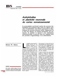 Acétylcholine et plasticité neuronale du cortex - iPubli