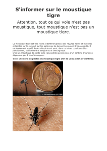 moustiques - Fonbeauzard