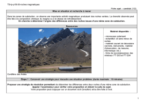 TS-tp-p1B-30-roches magmatiques 1 Fiche sujet – candidat (1/2