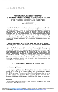 (3) 1979 : 317-335. ACCOUPLEMENT, PERIODE D`INCUBATION