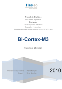 2010 Bi-Cortex-M3