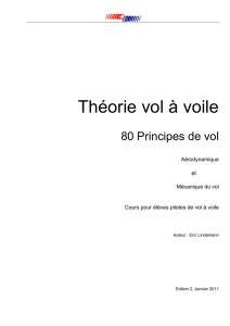 80 Principes de vol 2011