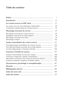 Le paradigme neuronal