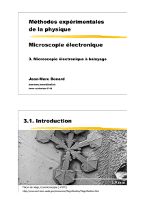 Méthodes expérimentales de la physique Microscopie électronique