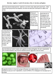Microbes, hygiène et santé (2) microbes utiles et microbes