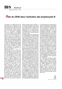 Rôle du CD40 dans l`activation des lymphocytes 8 - iPubli
