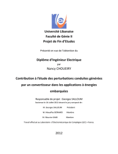 Contribution à l`étude des perturbations conduites générées par un