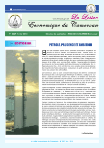 Lettre économique du Cameroun N°029 Février 2015