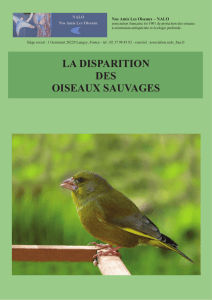 La disparition des oiseaux