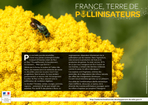 France, Terre de pollinisateur