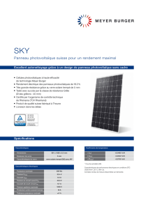Panneau photovoltaïque suisse pour un rendement maximal