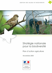 Plan d`action agriculture