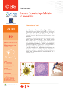 USC 1383 IECM Immuno Endocrinologie Cellulaire et Moléculaire