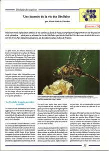 La vie des libellules / Insectes n° 79