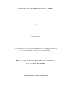 Changements climatiques et sécurité internationale