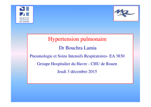 Hypertension pulmonaire
