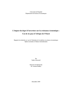 L`impact du degré d`ouverture sur la croissance économique : Cas