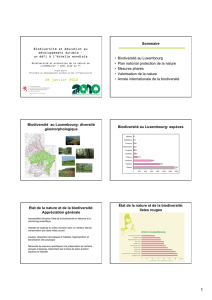 28 janvier 2010 Sommaire • Biodiversité au Luxembourg • Plan