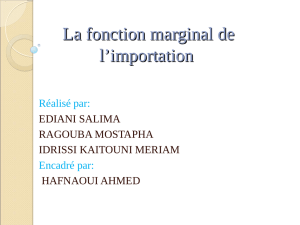 iii. presentation graphyque de la fonction de l`importation au maroc