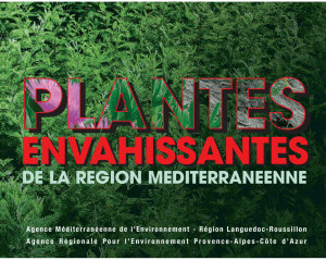 Plantes envahissantes de la région méditerranéenne