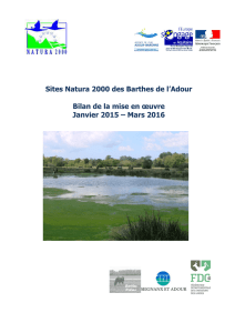 Sites Natura 2000 des Barthes de l`Adour Bilan de la mise en œuvre