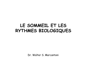 contr&ocirc;le neural du sommeil &agrave; ondes lentes
