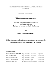 Thèse de doctorat en science Mme ZERGUINI SAKINA