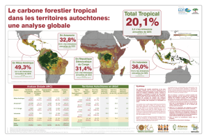 Le carbone forestier tropical dans les territoires autochtones: une