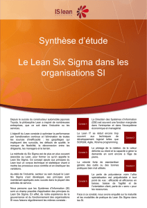 Le Lean 6 Sigma dans les DSI