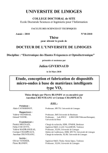 Etude, conception et fabrication de dispositifs micro