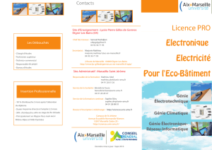 Licence PRO Electronique Electricité Pour l`Eco