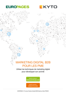 marketing digital b2b pour les pme