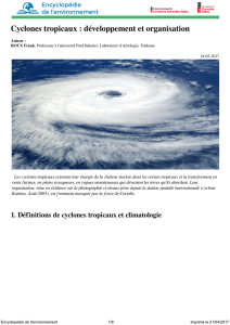 Cyclones tropicaux : développement et organisation