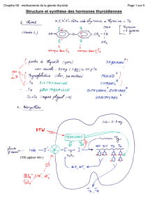 Structure et synthèse des hormones thyroïdiennes