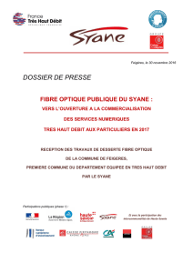 161130_dossier de presse_reception travaux fibre optique Feigeres