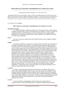 Observations sur le muscadier et principalement sur la culture de cet