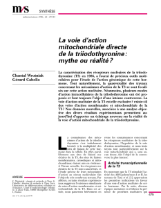 La voie d`action mitochondriale directe de la triiodothyronine: mythe