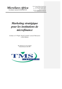 Marketing stratégique pour les institutions de microfinance.