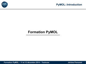 Formation PyMOL