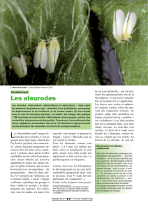 Les aleurodes / Insectes n° 155