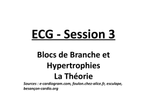 ecg session 3 : la theorie
