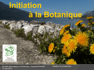 Les plantes toxiques - Société Mycologique et Botanique