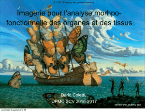Cours bio 1 : Imagerie - LPTMC